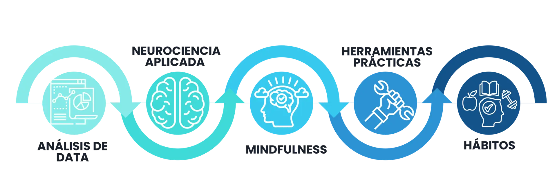 datos y ciencia para resultados reales | JappyMind